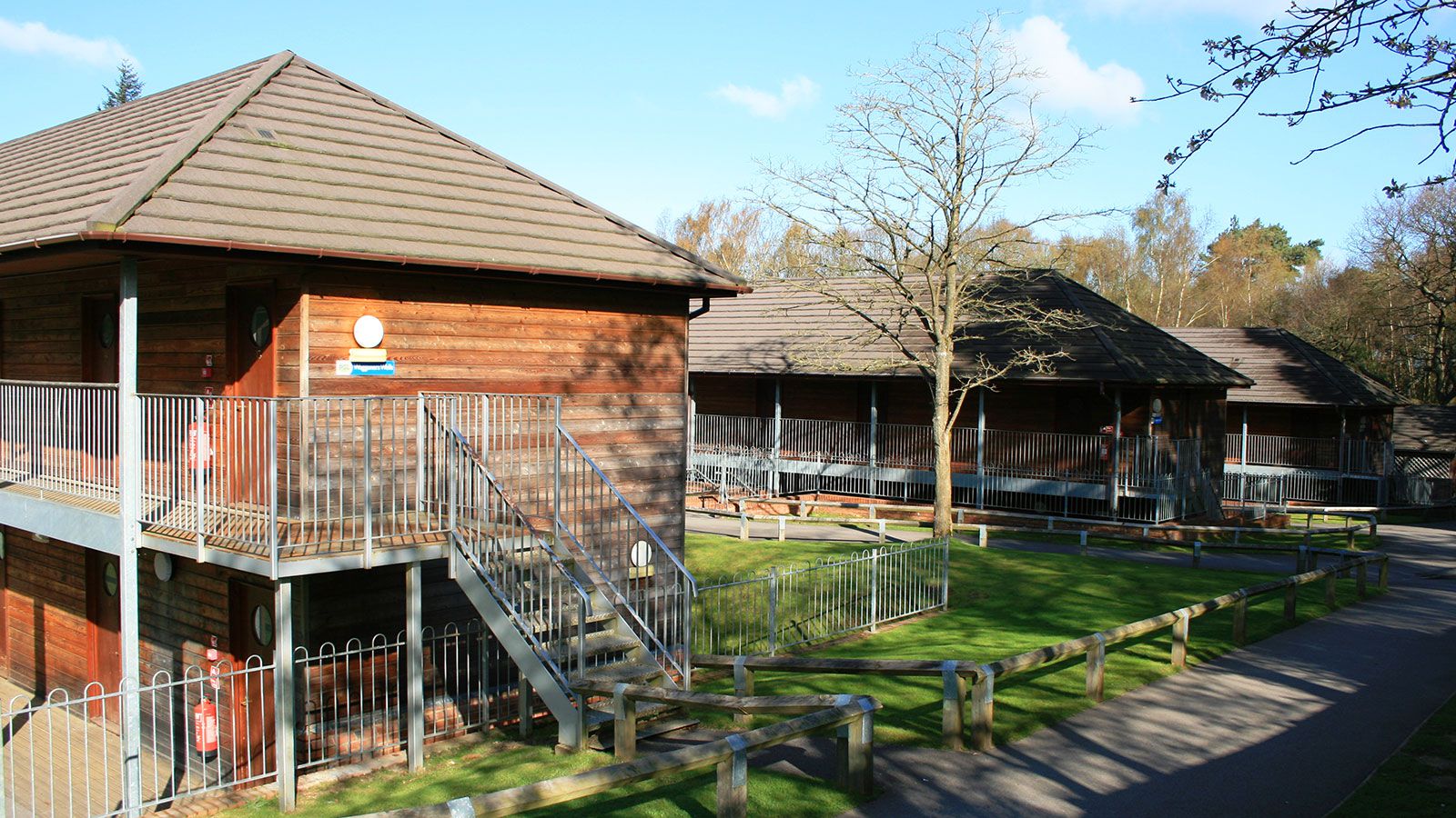 Marchants Hill Adventure Centre, Surrey Primary School Trips